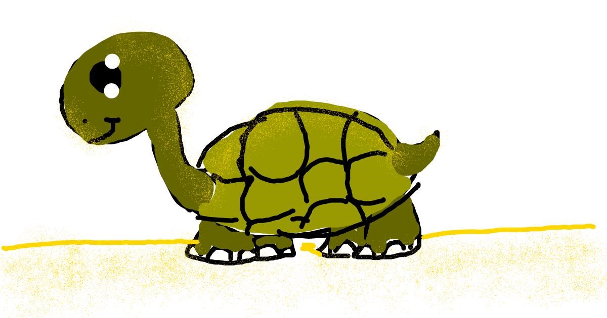 Drawing of Tortoise by brielle