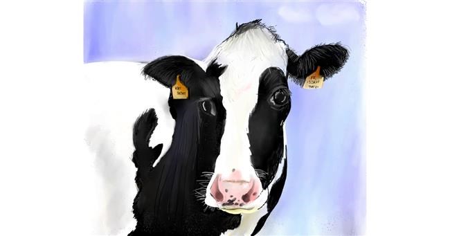Drawing of Cow by Lou