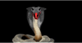 Drawing of Snake by Çhåching