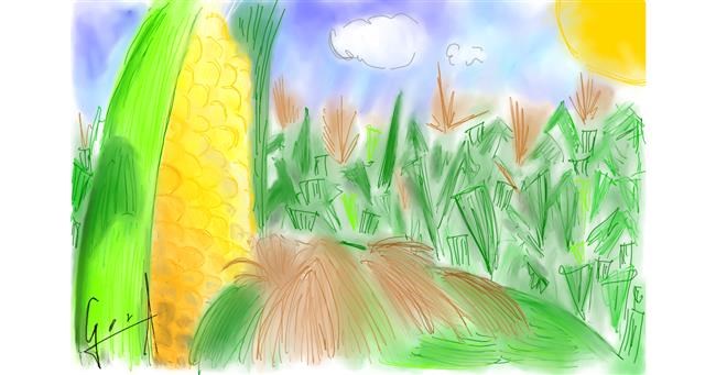 Drawing of Corn by Bibattole