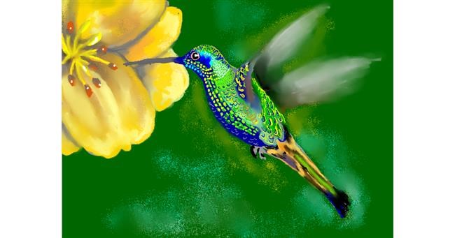 Drawing of Hummingbird by SAM AKA MARGARET 🙄