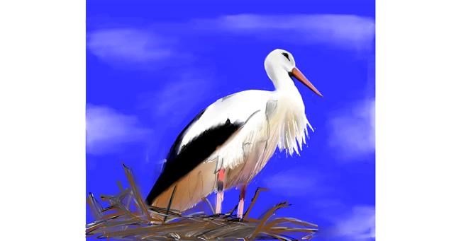 Drawing of Stork by Lou