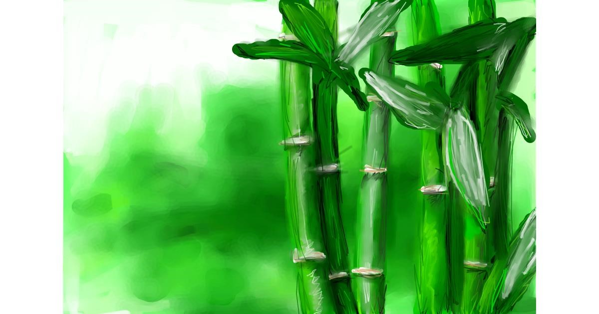 Drawing of Bamboo by Soaring Sunshine