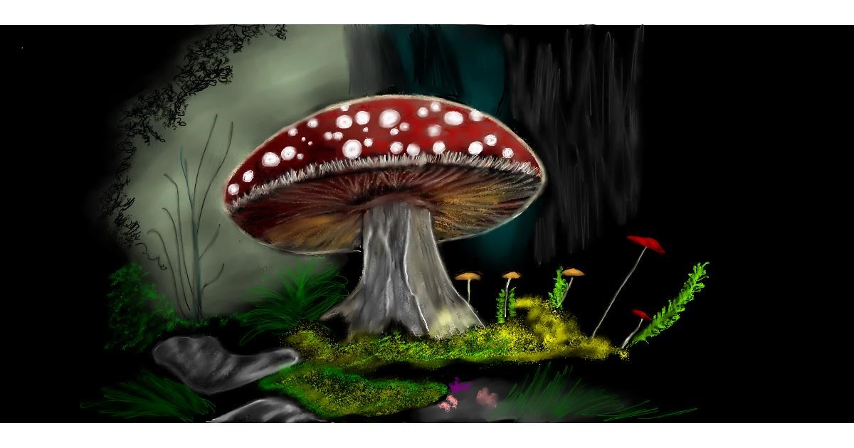 Full Size Drawing