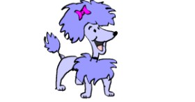 Drawing of Poodle by Kim