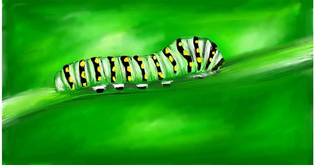 Drawing of Caterpillar by Mia