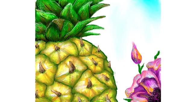Drawing of Pineapple by Audrey