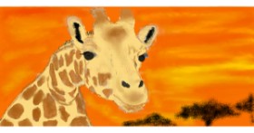 Drawing of Giraffe by WockaWocka