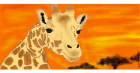 Drawing of Giraffe by WockaWocka