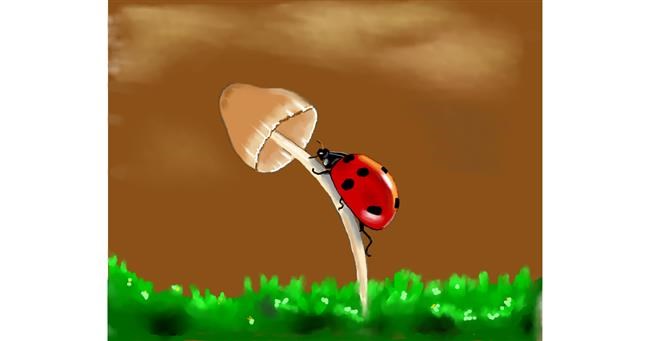 Drawing of Ladybug by Cec