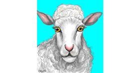 Ovca - autor: GreyhoundMama