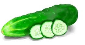 Drawing of Cucumber by Debidolittle