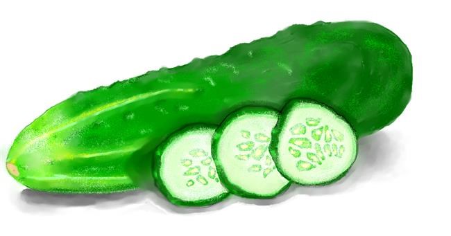 Drawing of Cucumber by DebbyLee