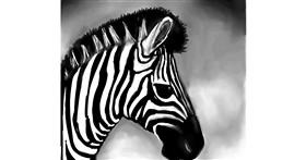 Drawing of Zebra by Emit