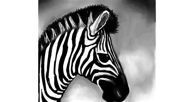 Drawing of Zebra by Emit