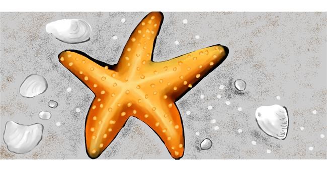 Drawing of Starfish by Kim
