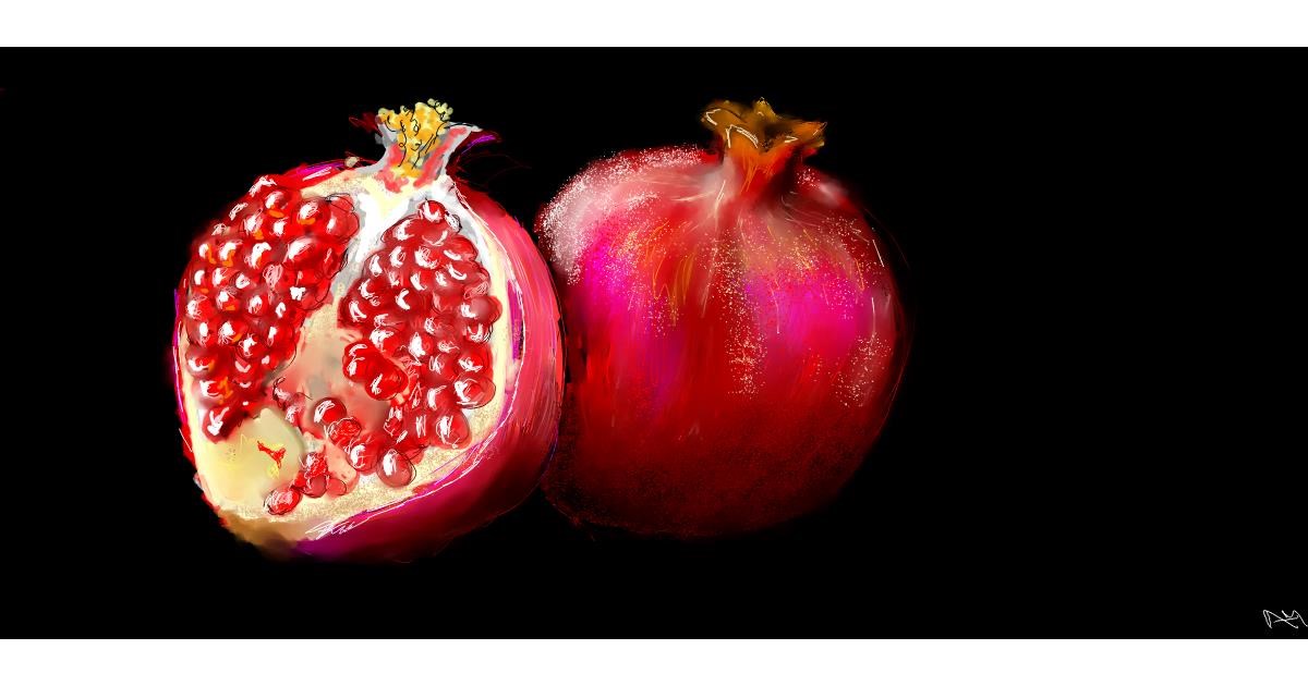 Drawing of Pomegranate by Una persona