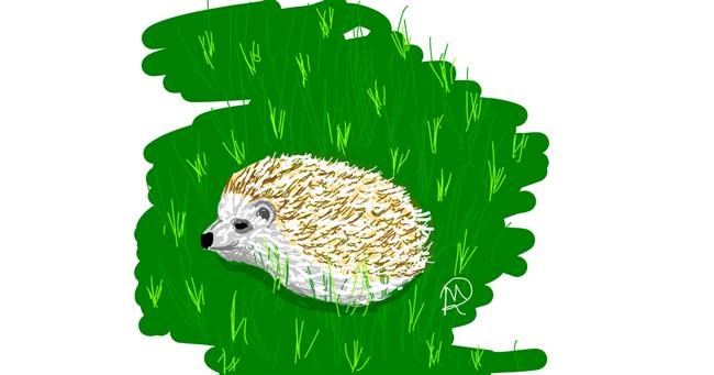 Drawing of Hedgehog by Geo-Pebbles