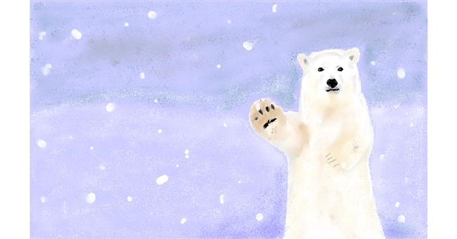 Drawing of Polar Bear by Chipakey