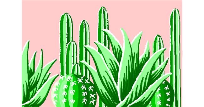 Drawing of Cactus by Kiu