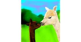 Drawing of Llama by Joze