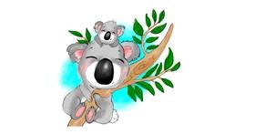 Drawing of Koala by Robin