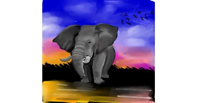 Drawing of Elephant by Rose rocket