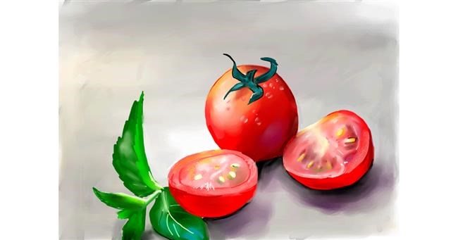 Tomate-Zeichnung von Rose rocket
