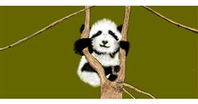 Panda-Zeichnung von Chaching