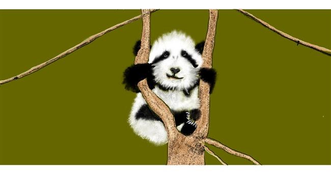 Drawing of Panda by Chaching