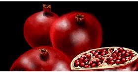 Drawing of Pomegranate by Eclat de Lune