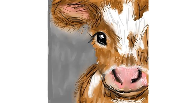 Drawing of Cow by KayXXXlee