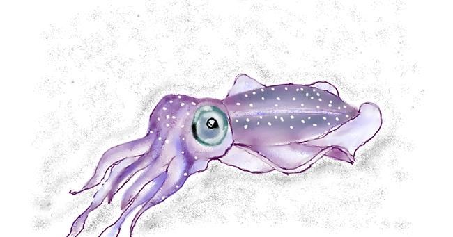 Drawing of Cuttlefish by Chipakey