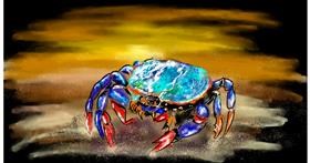 Drawing of Crab by Eclat de Lune
