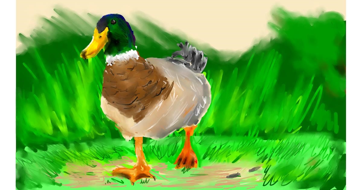 Drawing of Duck by Effulgent Emerald