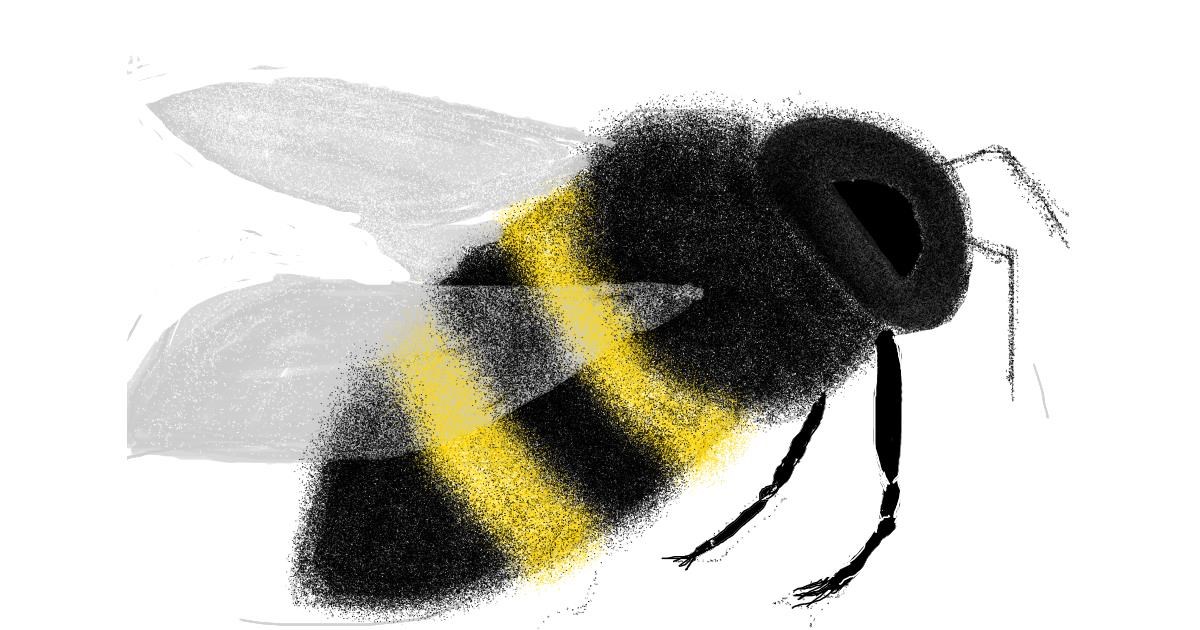 Drawing of Bee by Ewer