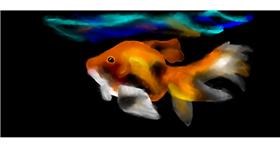 Drawing of Goldfish by Gillian