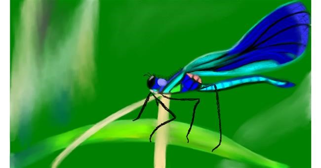 Drawing of Dragonfly by Chaching