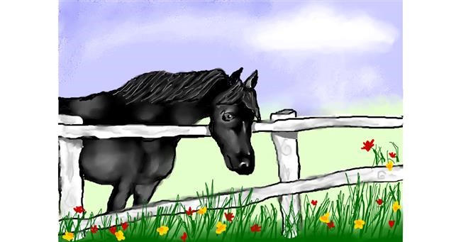 Drawing of Horse by Debidolittle