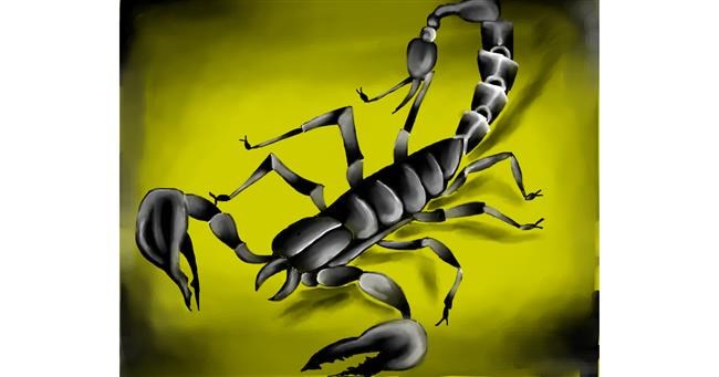 Drawing of Scorpion by Freny