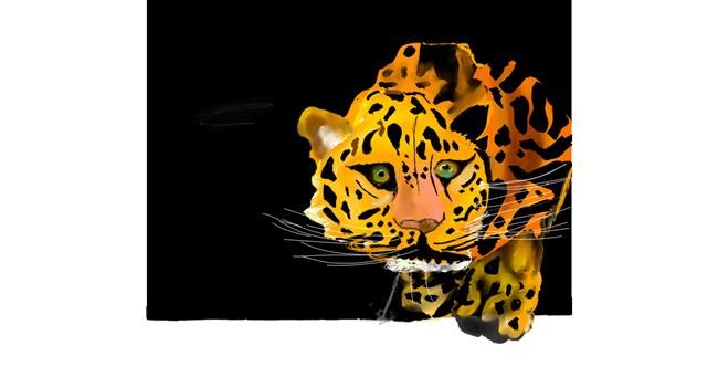 Drawing of Cheetah by Shanthini