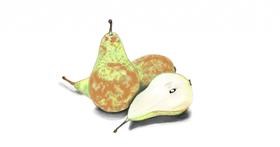 Drawing of Pear by Chaching