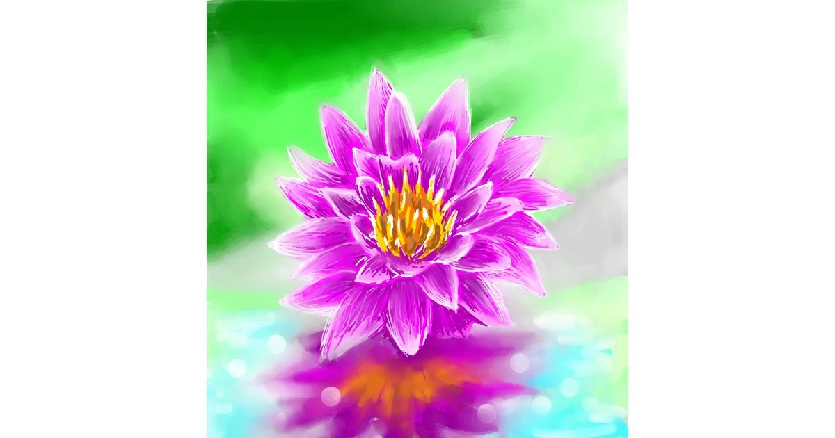 Drawing of Water lily by Vinci