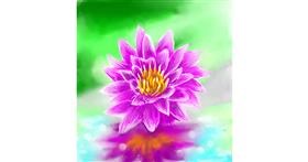 Drawing of Water lily by Vinci