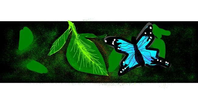 Schmetterling-Zeichnung von Redd_Pandaii