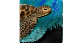 Drawing of Sea turtle by Yasmeen