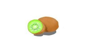 Drawing of Kiwi fruit by Selo