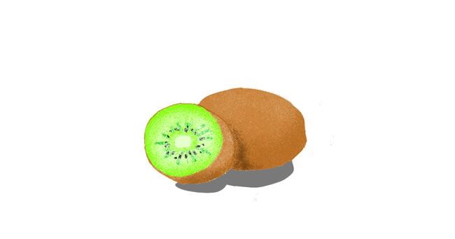 Drawing of Kiwi fruit by Selo