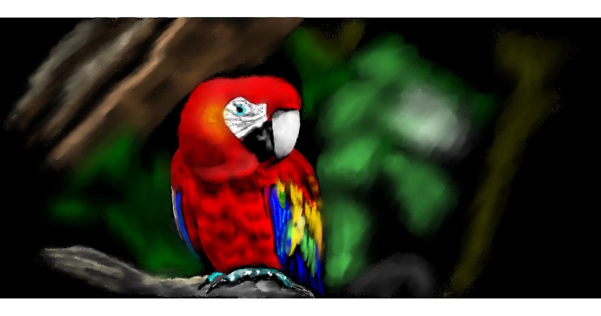 Full Size Drawing