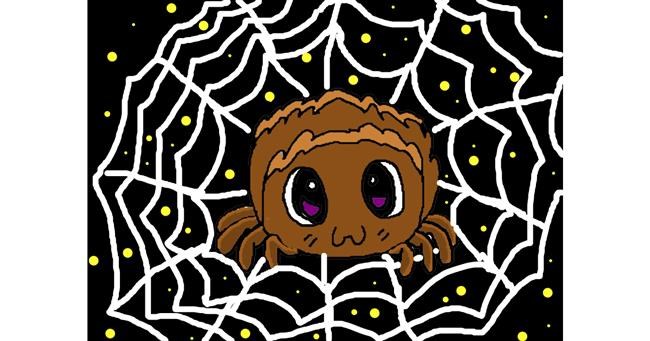 Drawing of Spider by Aria